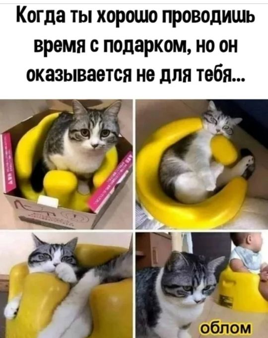 Когда ты хорошо проводишь время с подарком но он оказывается не для тебя