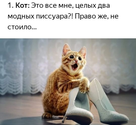 1 Кот Это все мне целых два модных писсуара Право же не стоило