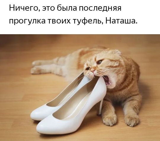 Ничего это была последняя прогулка твоих туфель Наташа