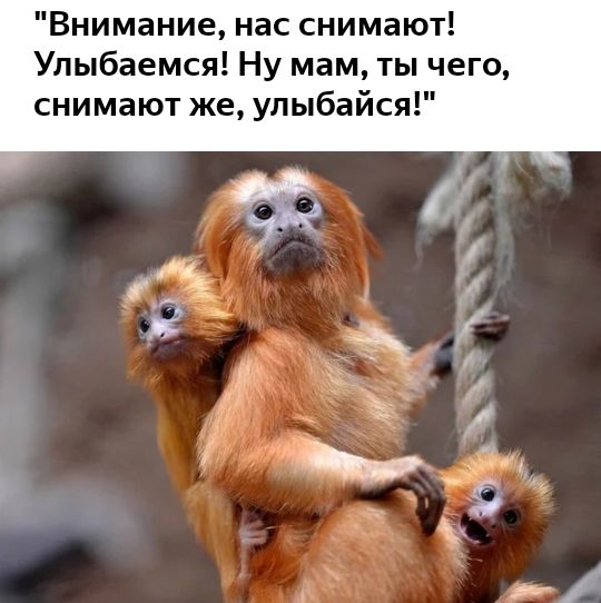 Внимание нас снимают Улыбаемся Ну мам ты чего снимают же улыбайся