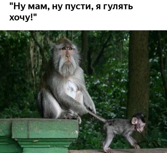 Ну мам ну пусти я гупять хочу
