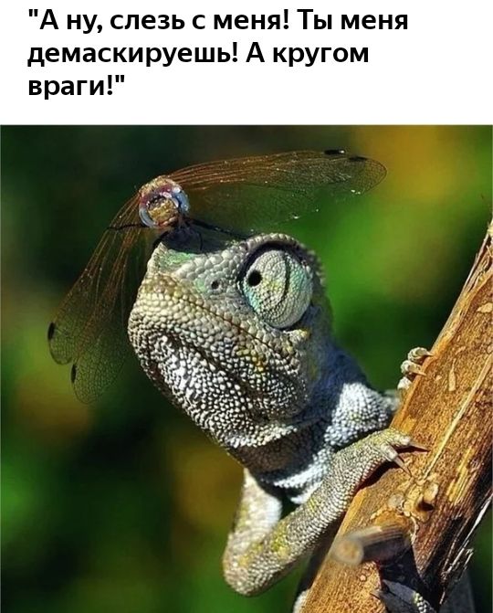 А ну спезь с меня Ты меня демаскируешь А кругом