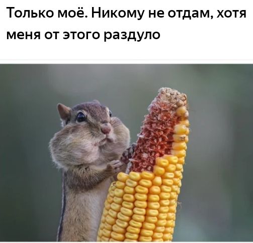 Только моё Никому не отдам хотя меня от этого раздуло