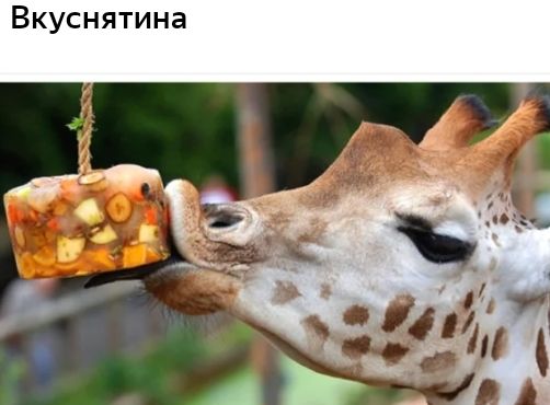 Вкуснятина _