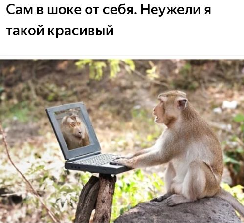 Щ Ь в и с а р к и О К а т я и л е ж У е Н а б е С т о е к 0 Ш В М а С