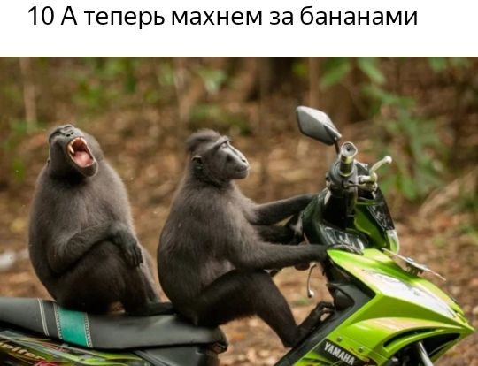 10 А теперь махнем за бананами
