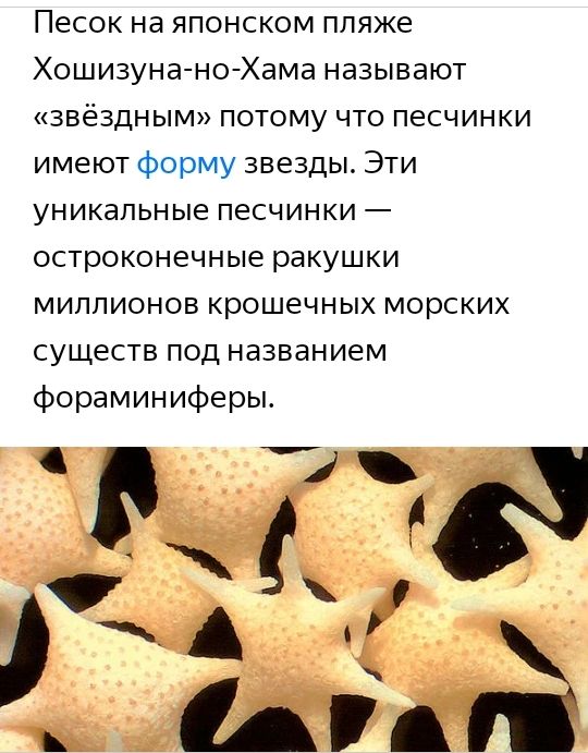 Песок на японском пляже Хошизуна но Хама называют звёздным потому что песчинки имеют форму звезды Эти уникальные песчинки остроконечные ракушки миллионов крошечных морских существ под названием фораминиферы У