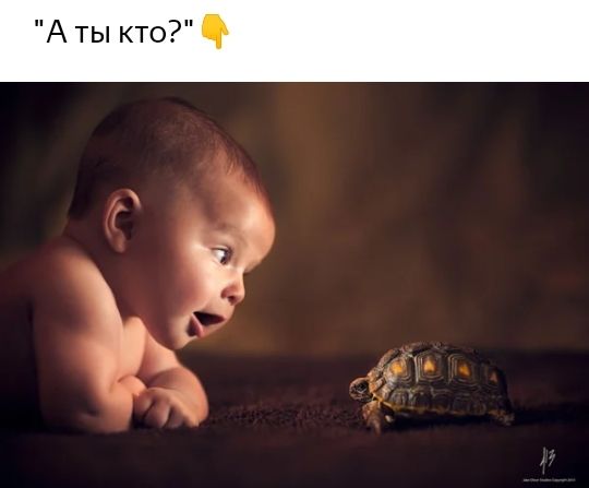 А ты кто