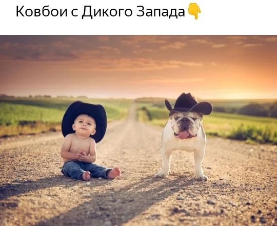 Ковбои с Дикого Запада