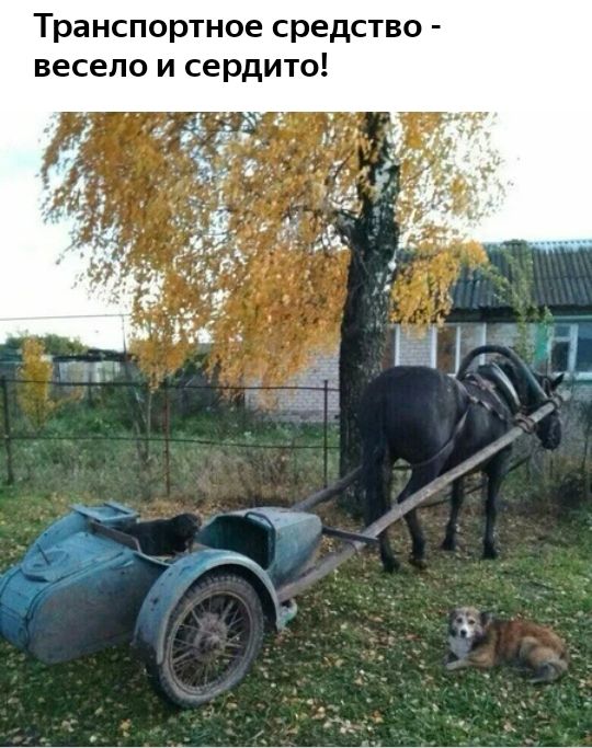 Транспортное средство весело и сердито