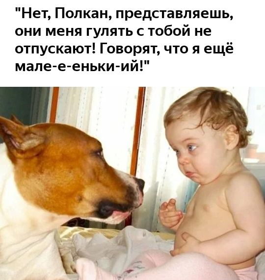 Нет Полкан представляешь они меня гулять с тобой не отпускают Говорят что я ещё мапе е еньки ий
