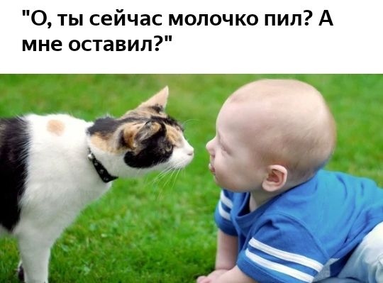 О ты сейчас мопочко пил А мне оставил т _ ё _д