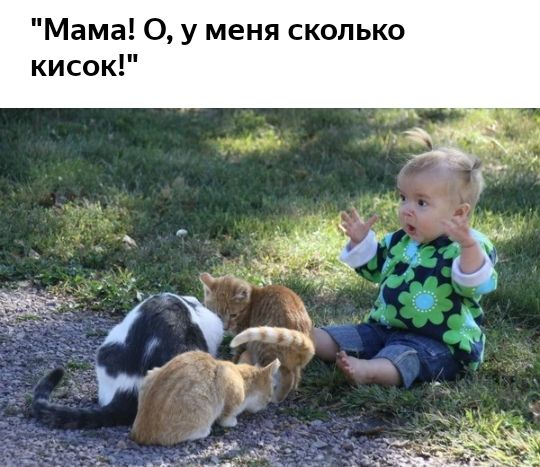 Мама 0 у меня сколько кисок