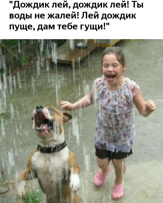 Дождик пей дождик пей Ты воды не жалей Лей дождик пуще дам тебе гущи