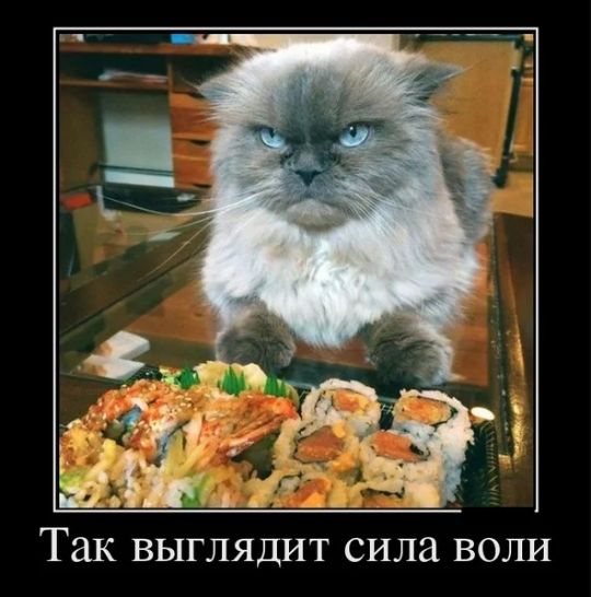Так выглядит сила воли