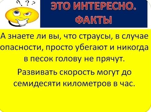 А знаете ли вы что страусы в случае опасности просто убегают и никогда в песок голову не прячут РЭЗВИВЭТЬ СКОРОСТЬ МОГУТ до семидесяти КИЛОМеТРОВ В ЧЭС