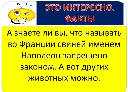 А знаете ли вы что называть во Франции свиней именем Наполеон запрещено законом А вот других животных можно