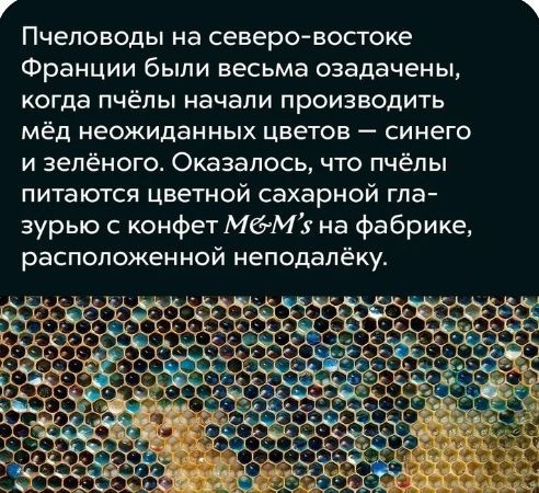ВОСТОКЭ Пчеловоды на северо Франции были весьма озадачены когда пчёлы начали производить ПИТЭЮТСЯ цветной сахарнои Гда зурыо с конфет мама на фабрике расположенном неподалёку мёд неожиданных цветов синего и зелёного Оказалось что пчёлы