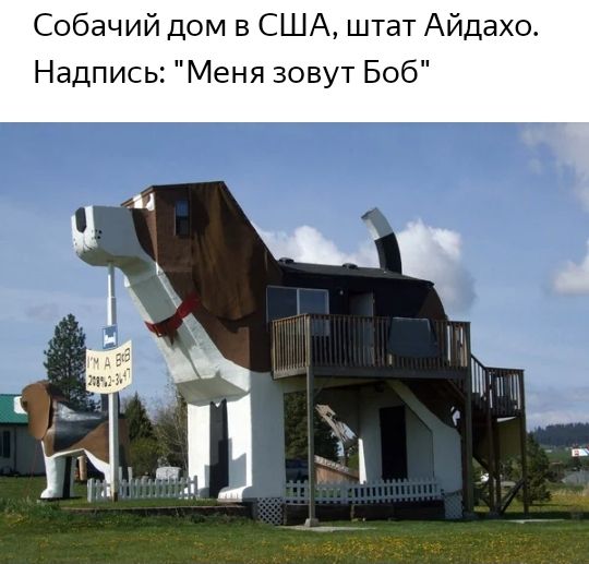 Собачий дом в сша, штат айдахо. Надпись: 
