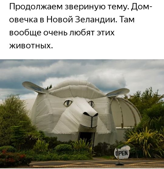 Продолжаем звериную тему Дом овечка в Новой Зеландии Там вообще очень любят этих ЖИВОТНЫХ