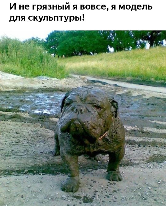 И не грязный я вовсе я модель для скульптуры