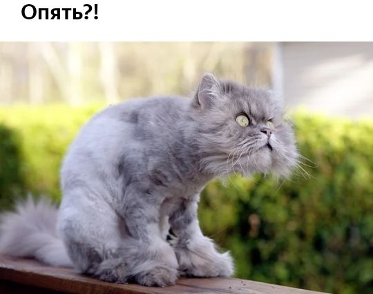 Опять