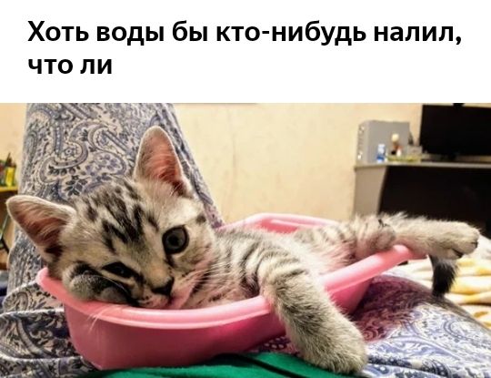 Хоть воды бы кто нибудь налил что ли