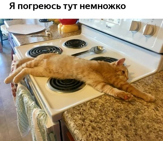 Я погреюсь ТУТ НЕМНОЖКО
