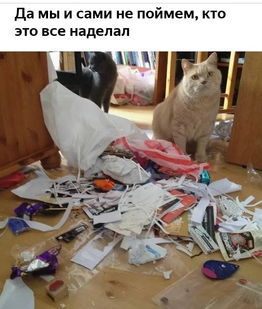 Да мы и сами не поймем, кто это все наделал