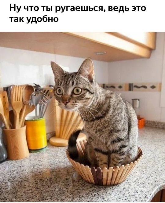 Ну что ты ругаешься, ведь это так удобно
