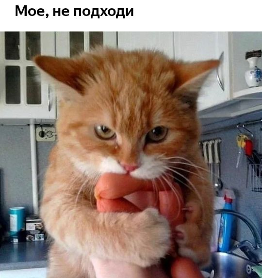 Мое не подходи