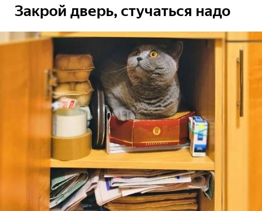 Закрой дверь стучаться надо за
