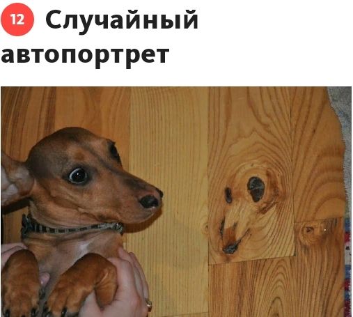 Случайный автопортрет