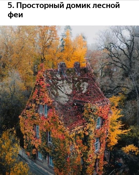 5 Просторный домик лесной
