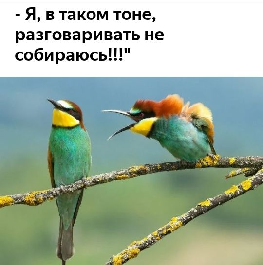 Я в таком тоне разговаривать не собираюсь