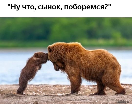 Ну что сынок поборемся