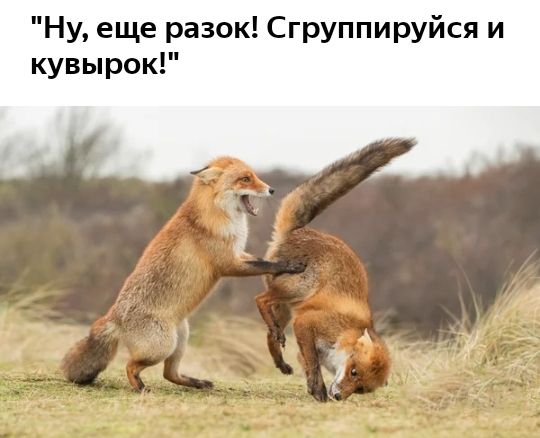 Ну еще разок Сгруппируйся и кувырок