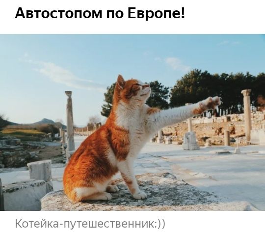 Автостопом по Европе Котейка путешественник