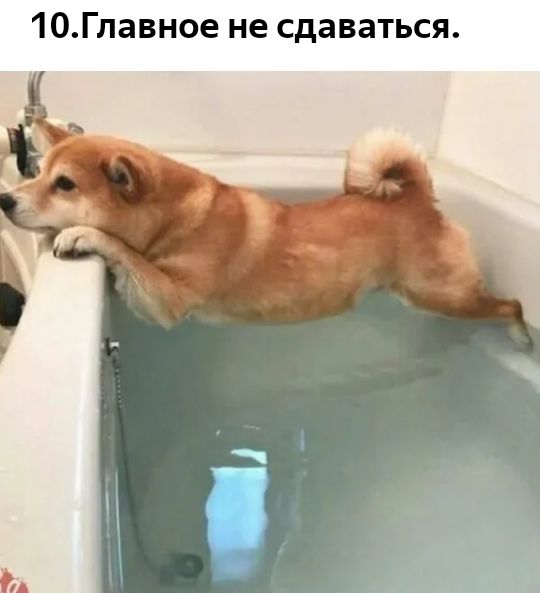 10Главное не сдаваться