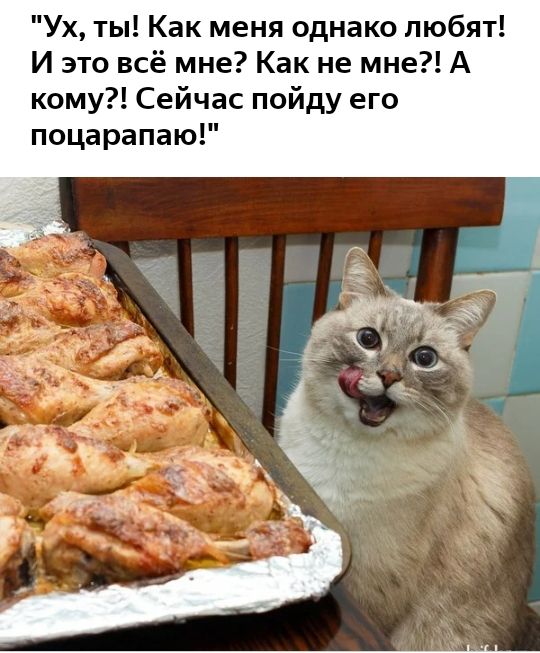 Ух ты Как меня однако любят И это всё мне Как не мне А кому Сейчас пойду его поцарапаю