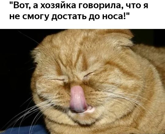 Вот а хозяйка говорила что я не смогу достать до носа