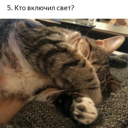 5 Кто включил свет