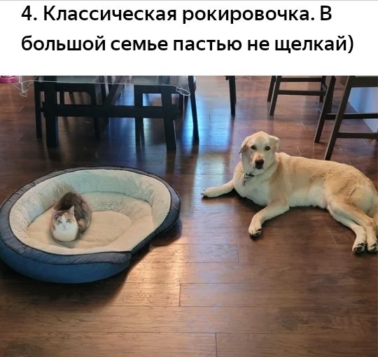 4 Классическая рокировочка В большой семье пастью не щелкай