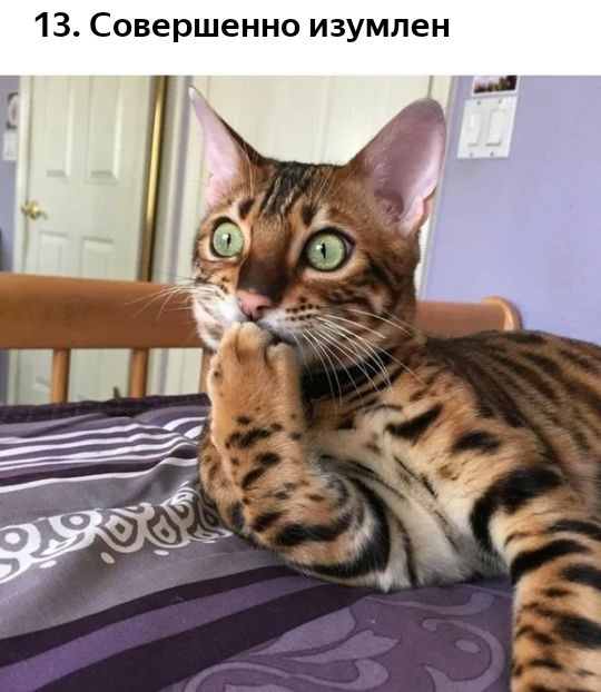 13 Совершенно изумлен