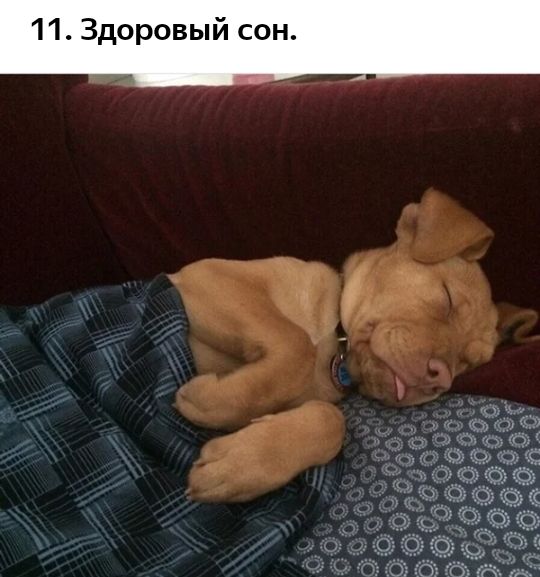 11 Здоровый сон