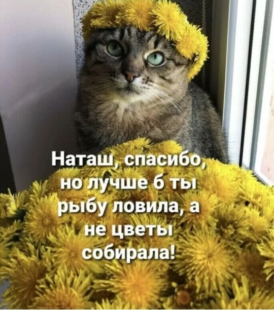 і _ дб Ё Наташ спасиёб но лучше б ты рыбу ловила а не цветы собирала