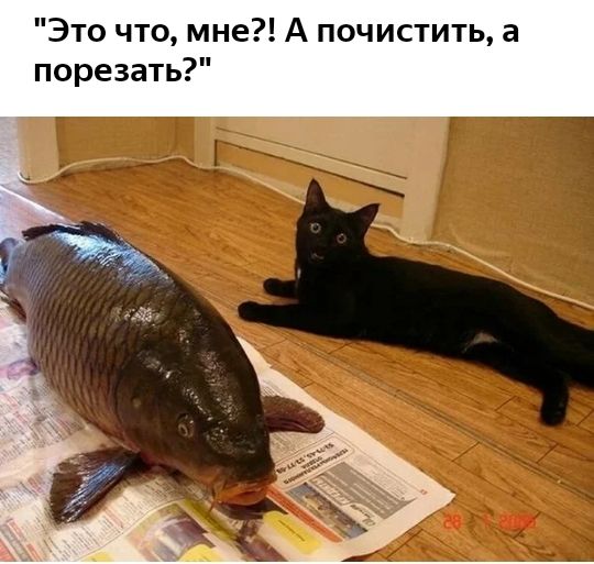 Это что мне А почистить а порезать