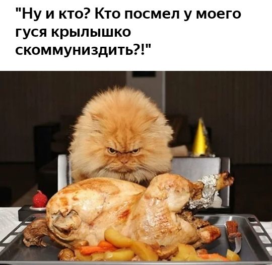 Ну и кто Кто посмел у моего гуся крылышко скоммуниздить