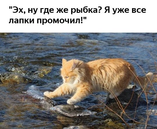 Эх ну где же рыбка Я уже все папки промочил