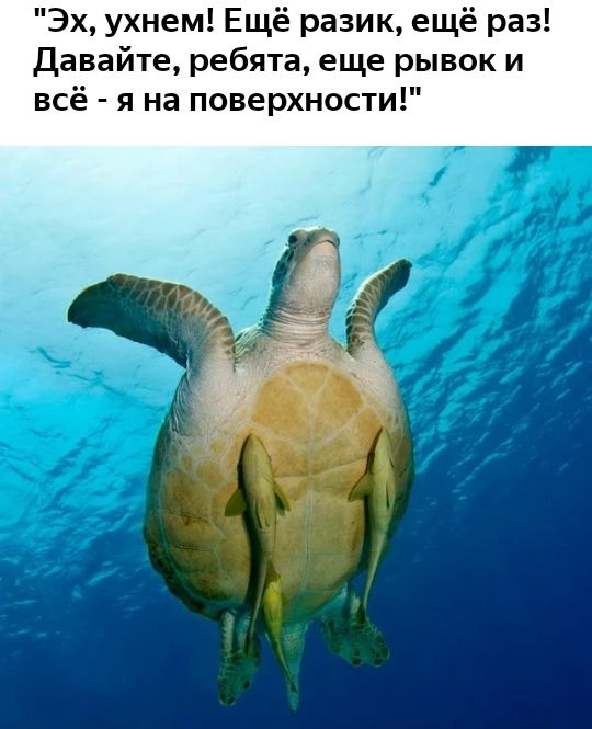 Эх ухнем Ещё разик ещё раз Давайте ребята еще рывок и всё я на поверхности